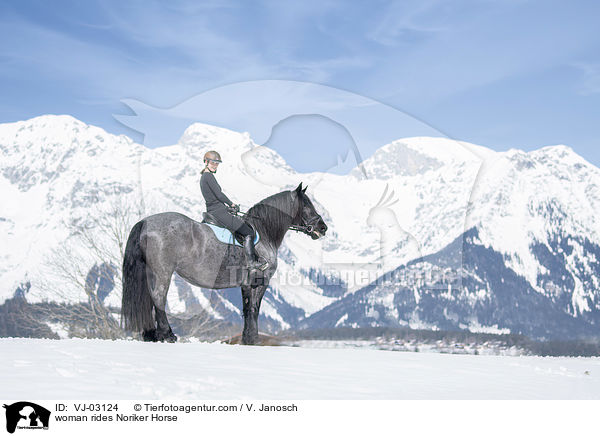 woman rides Noriker Horse / VJ-03124