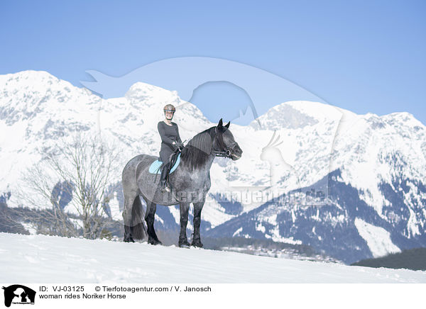 woman rides Noriker Horse / VJ-03125