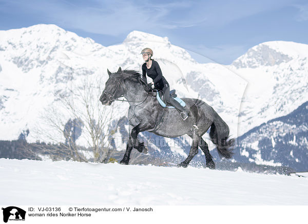 woman rides Noriker Horse / VJ-03136