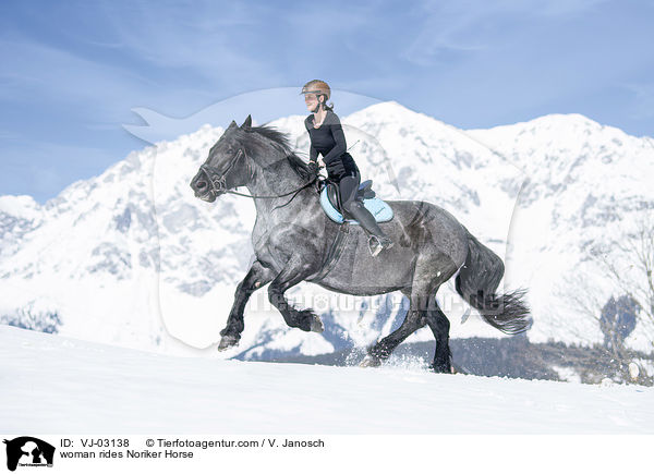 woman rides Noriker Horse / VJ-03138