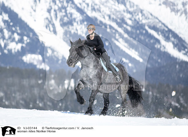 woman rides Noriker Horse / VJ-03144