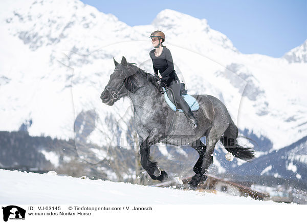 woman rides Noriker Horse / VJ-03145