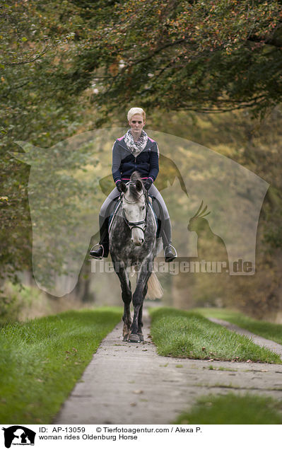 Frau reitet Oldenburger / woman rides Oldenburg Horse / AP-13059