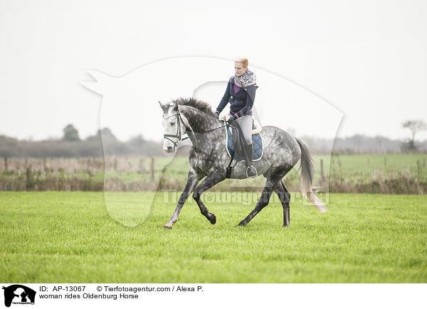 woman rides Oldenburg Horse / AP-13067