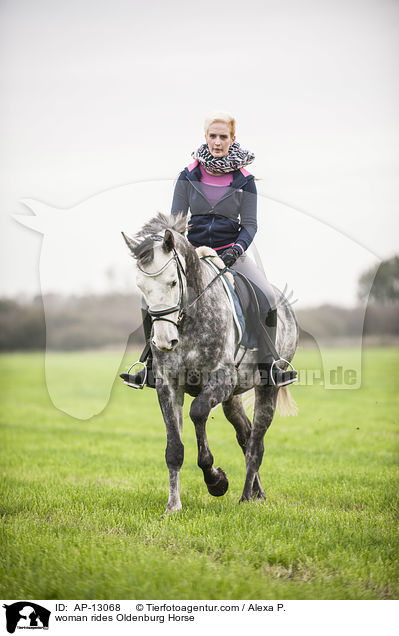 Frau reitet Oldenburger / woman rides Oldenburg Horse / AP-13068