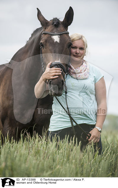 woman and Oldenburg Horse / AP-13388