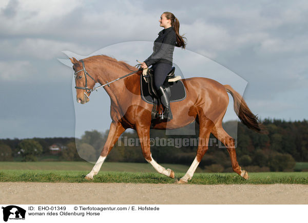 woman rides Oldenburg Horse / EHO-01349