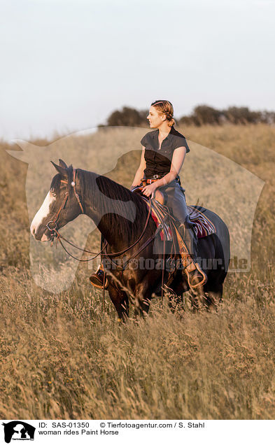 woman rides Paint Horse / SAS-01350
