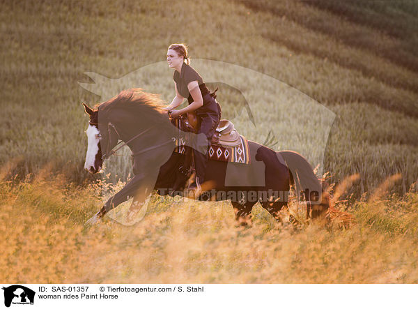 Frau reitet Paint Horse / woman rides Paint Horse / SAS-01357