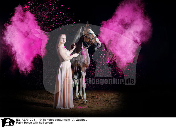 Paint Horse mit Holi Farbe / Paint Horse with holi colour / AZ-01201