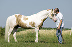 man and Paint Horse
