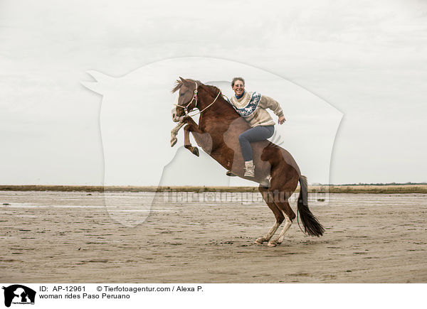 woman rides Paso Peruano / AP-12961