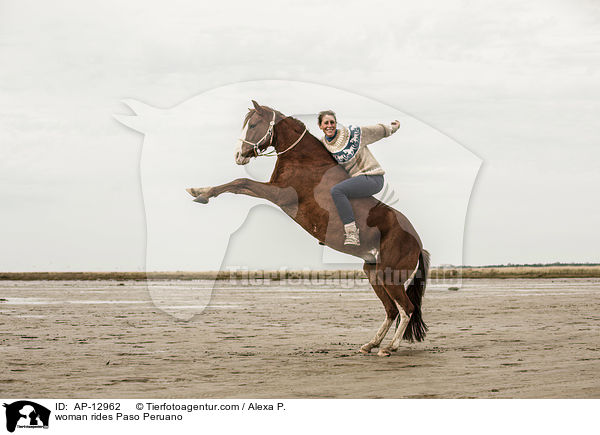 woman rides Paso Peruano / AP-12962