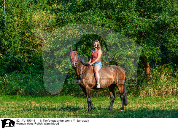 woman rides Polish Warmblood / YJ-15044