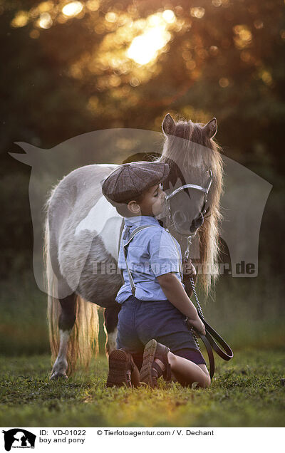 boy and pony / VD-01022