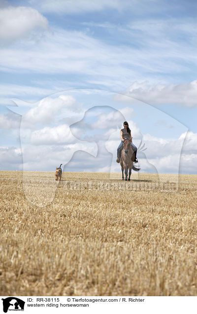 western riding horsewoman / RR-38115