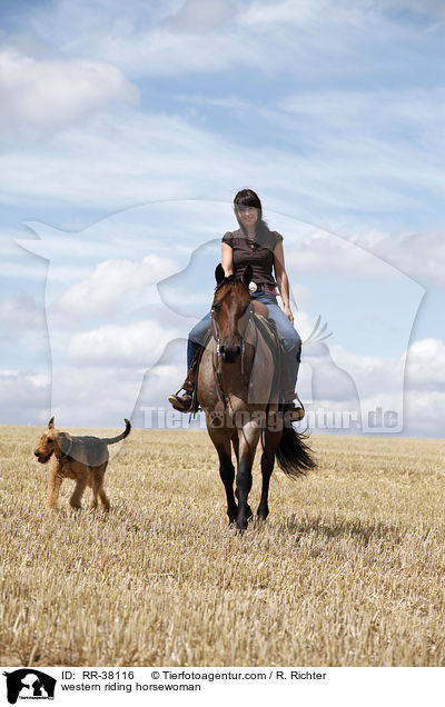 western riding horsewoman / RR-38116