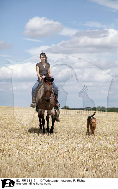 western riding horsewoman / RR-38117