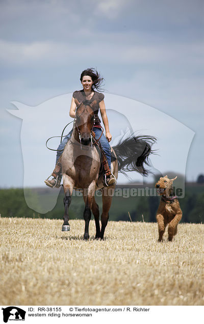western riding horsewoman / RR-38155