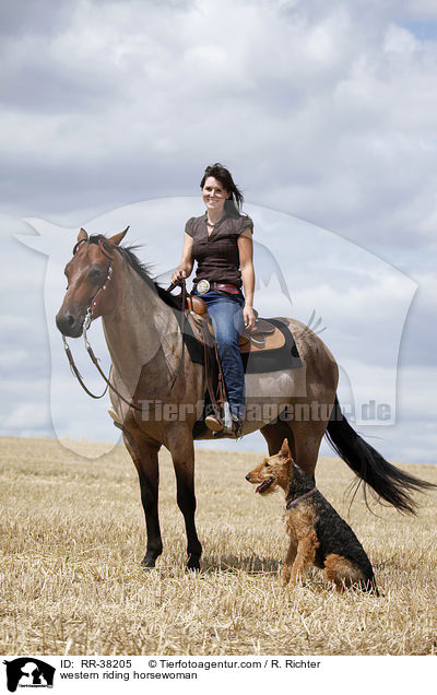 western riding horsewoman / RR-38205