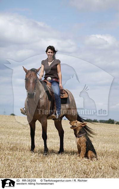 western riding horsewoman / RR-38208