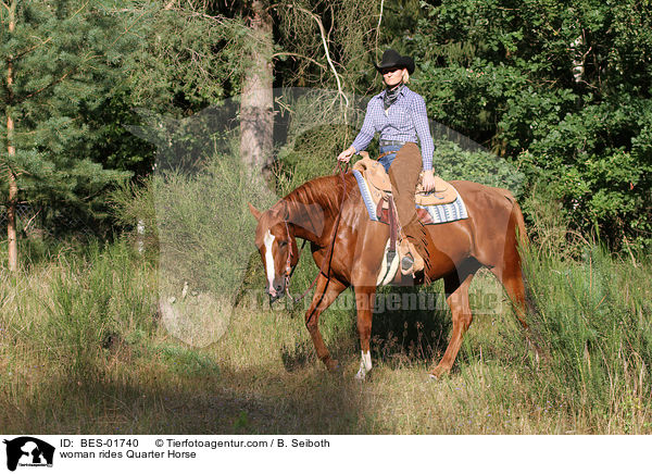 woman rides Quarter Horse / BES-01740
