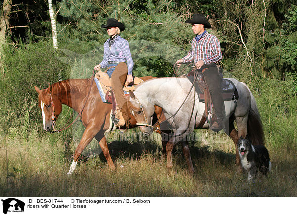 riders with Quarter Horses / BES-01744
