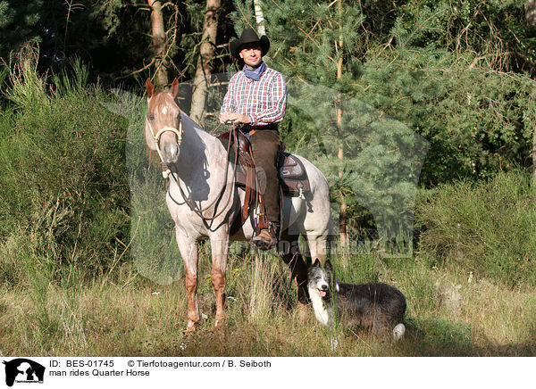 man rides Quarter Horse / BES-01745