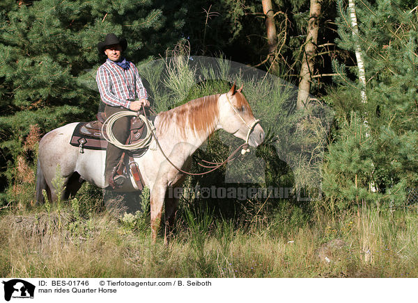 man rides Quarter Horse / BES-01746