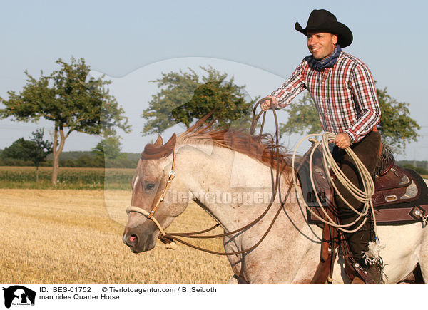 man rides Quarter Horse / BES-01752