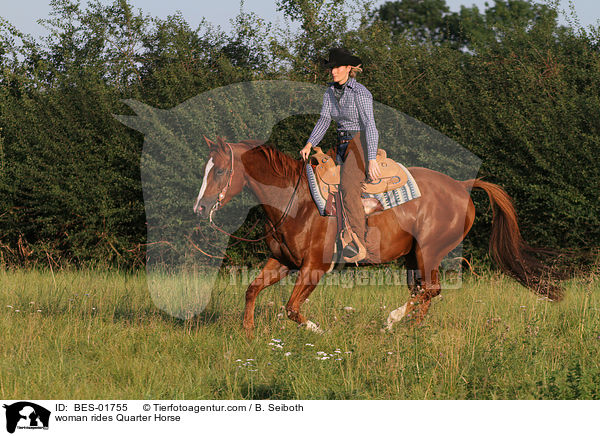 woman rides Quarter Horse / BES-01755