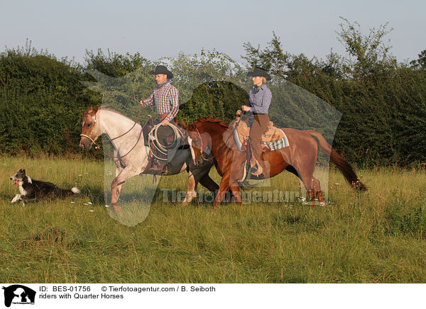 riders with Quarter Horses / BES-01756
