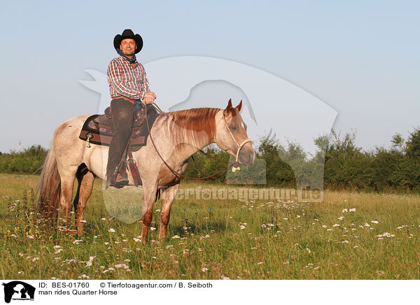 man rides Quarter Horse / BES-01760