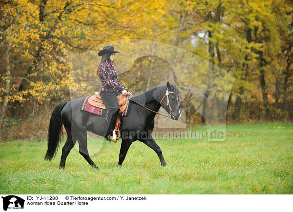 woman rides Quarter Horse / YJ-11288