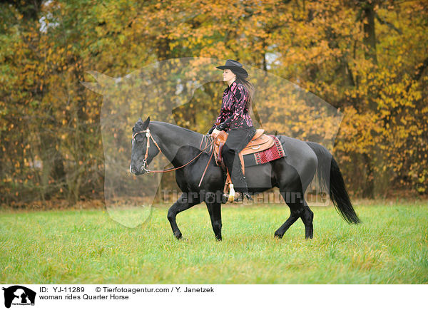 woman rides Quarter Horse / YJ-11289