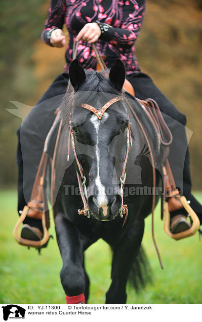 woman rides Quarter Horse / YJ-11300