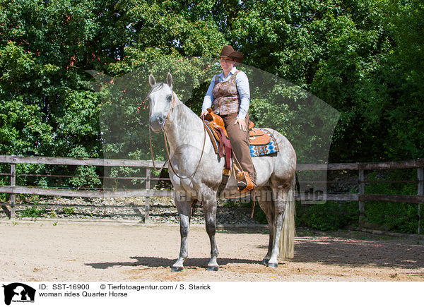 woman rides Quarter Horse / SST-16900