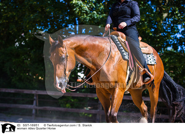 woman rides Quarter Horse / SST-16951