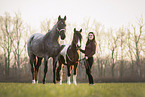 woman and 2 horses