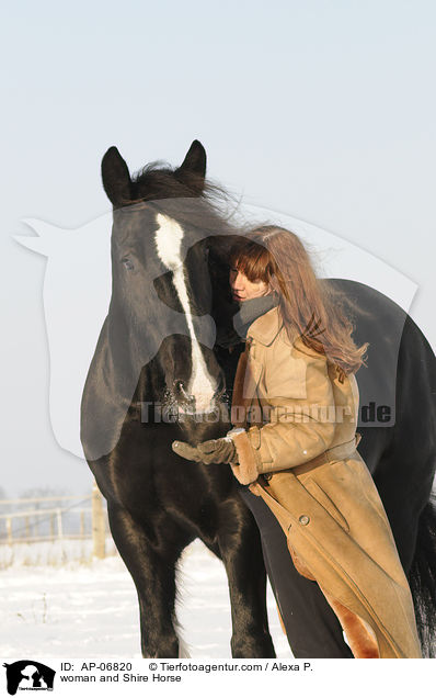 woman and Shire Horse / AP-06820