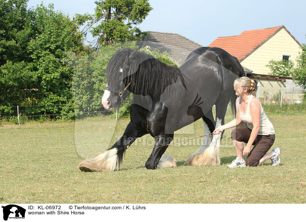 woman with Shire Horse / KL-06972