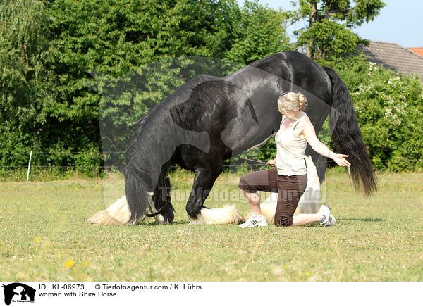 woman with Shire Horse / KL-06973