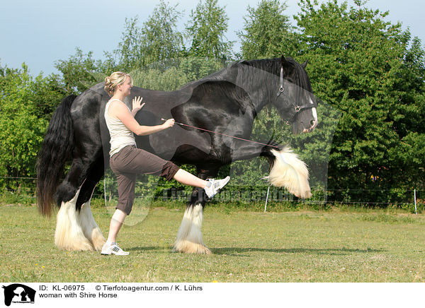 woman with Shire Horse / KL-06975