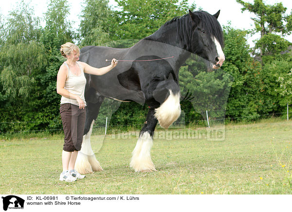 woman with Shire Horse / KL-06981