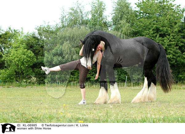 woman with Shire Horse / KL-06985