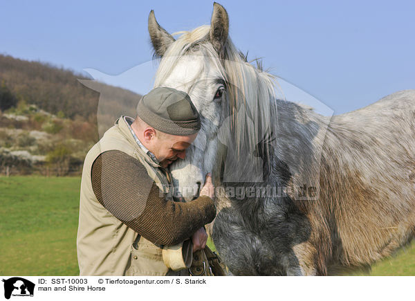 man and Shire Horse / SST-10003
