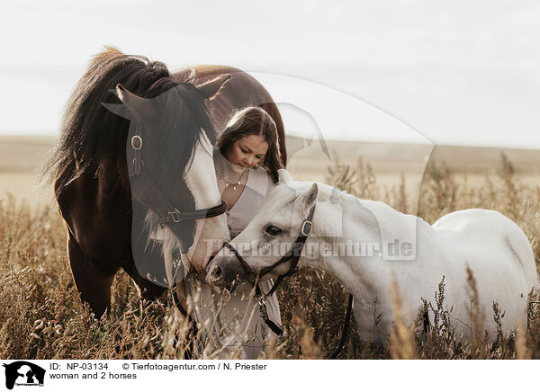 woman and 2 horses / NP-03134