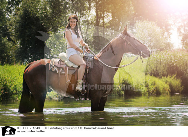 woman rides trotter / CDE-01543
