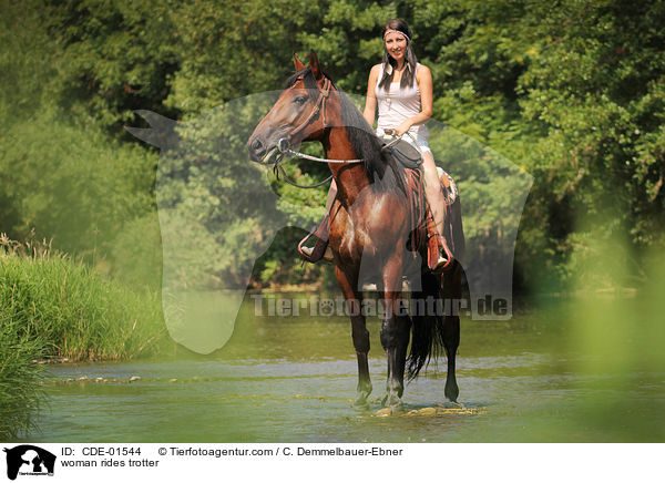 woman rides trotter / CDE-01544