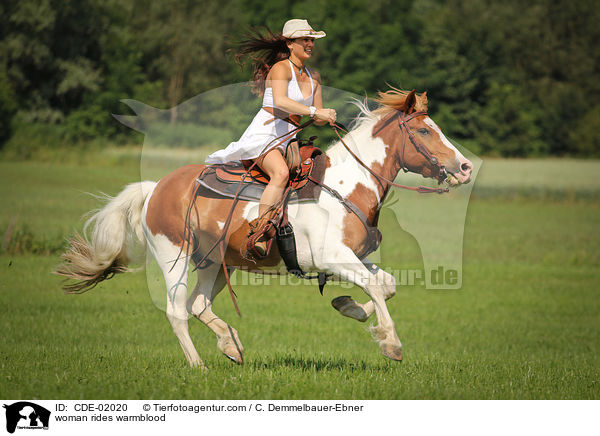 woman rides warmblood / CDE-02020